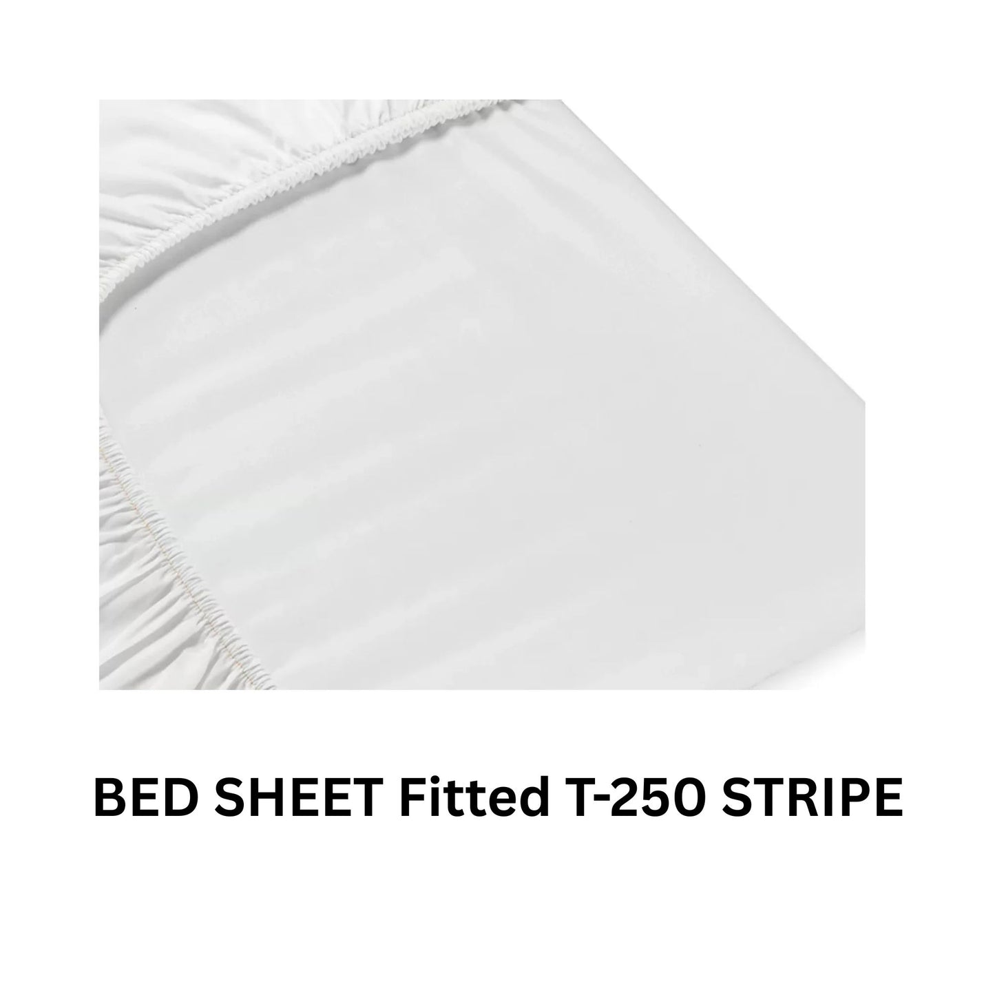 T250- FULL FITTED - 54X80X15 = 2DZ/BOX