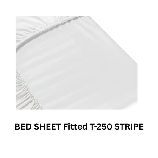 T250 - QUEEN FITTED - 60X80X14 - 2DZ/BOX
